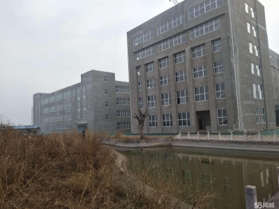 石家庄 平山 一百亩土地及四万二千平厂房出售，也适合做学校图2
