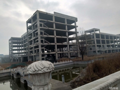 石家庄 平山 一百亩土地及四万二千平厂房出售，也适合做学校图6
