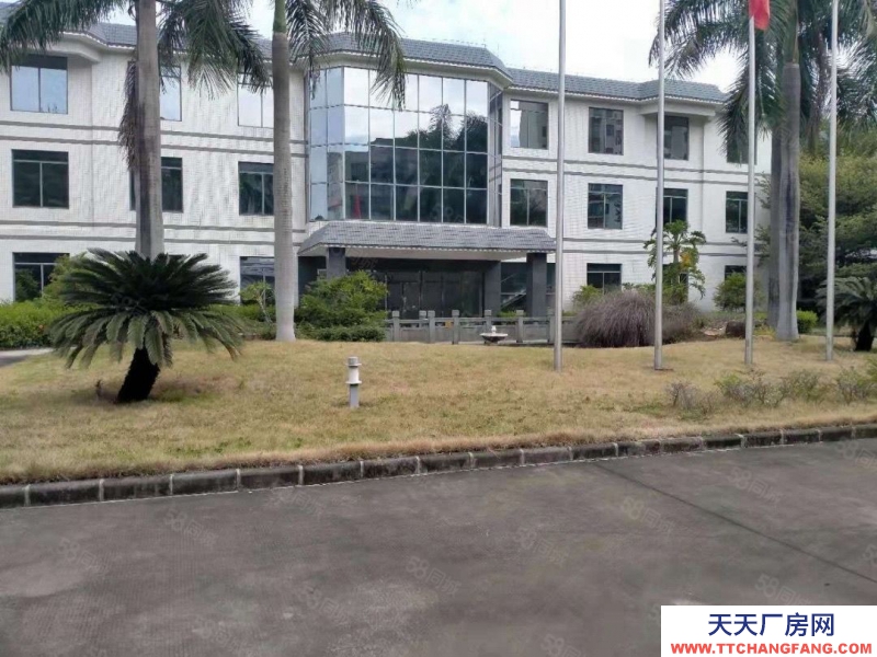 (出售) 广州黄埔独院厂房占地约9亩 建筑面积8540平方红本 证件齐