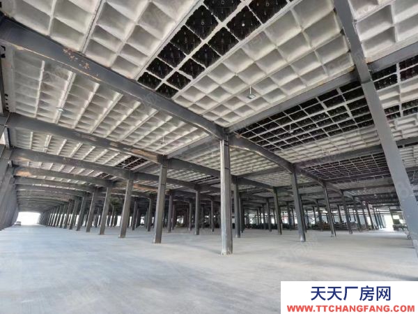 长沙市岳麓区 河西岳麓区麓谷钢构厂房一楼单层行车行吊1000出租平