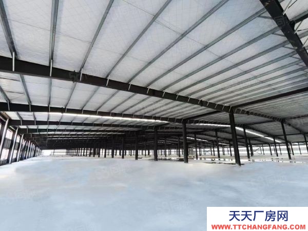 长沙市岳麓区 河西岳麓区麓谷钢构厂房一楼单层行车行吊1000出租平
