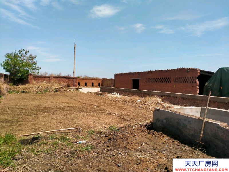 石家庄 元氏 107国道附近场地出租