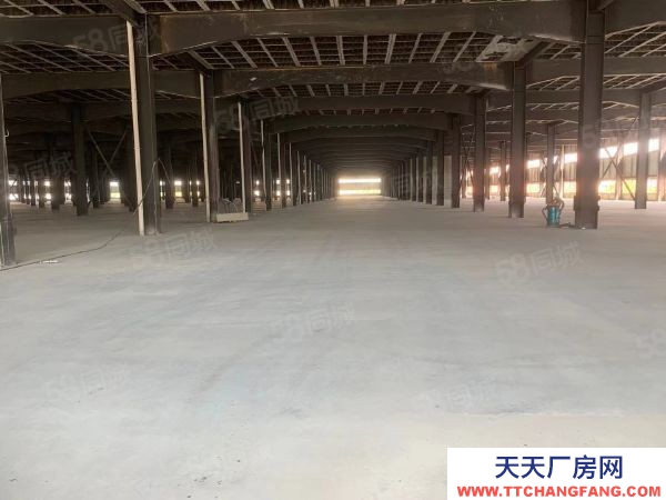 长沙市岳麓区麓谷 桐梓破西路60000平方钢架结构仓库
