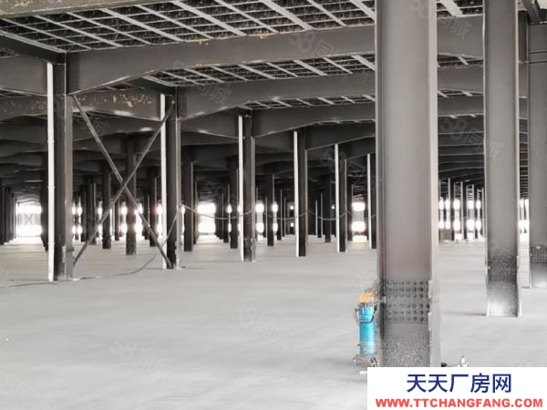 长沙市岳麓区麓谷 桐梓破西路60000平方钢架结构仓库
