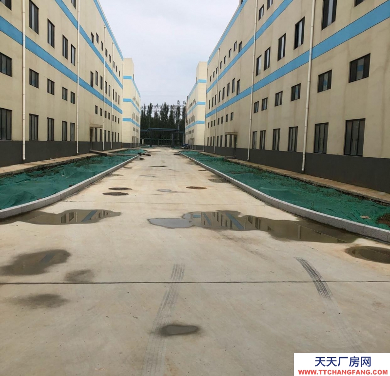 济南商河 医药、高端原料药类专用厂房+甲类危品库