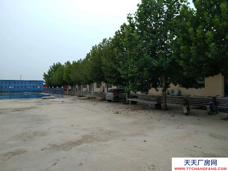 石家庄  赵县308国道城南赵辛线仓库