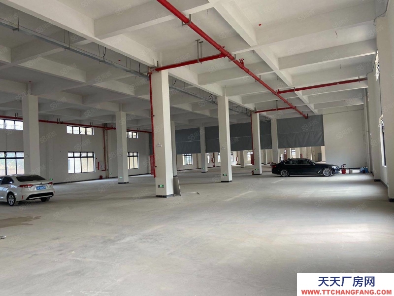 (出租) 广州从化独门独院全新仓库出租，大小可分租