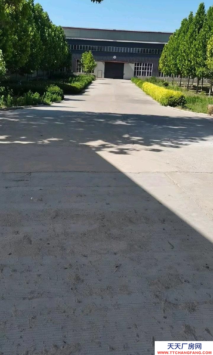 石家庄 赵县 闲置钢构厂房，高度12米，带天车