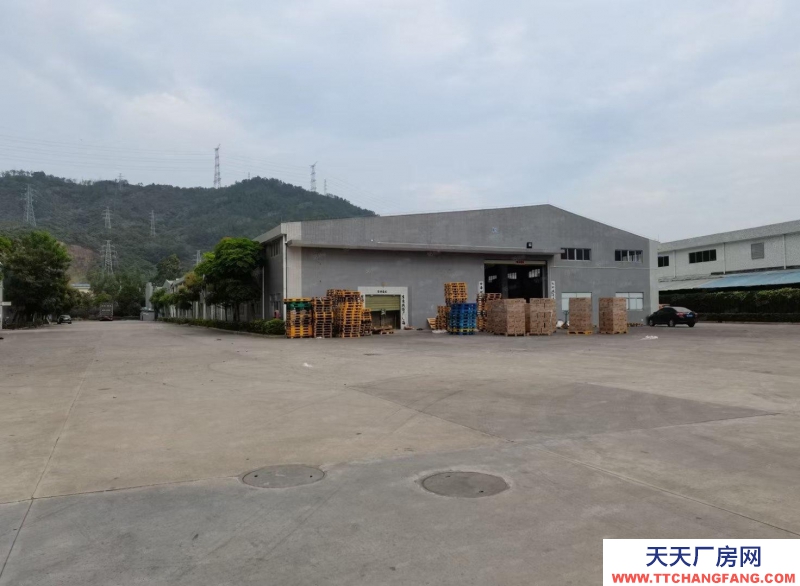 (出售) 广州从化新出单一层钢构厂房