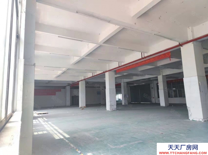 (出售)广州 南沙区独门独院靚盘出售