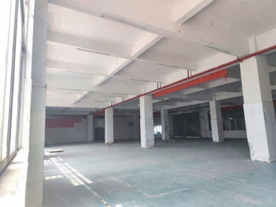 (出售)广州 南沙区独门独院靚盘出售图3