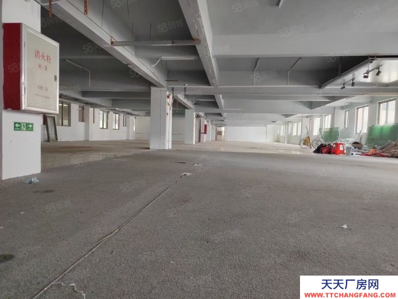 (出售)广州 南沙区独门独院靚盘出售