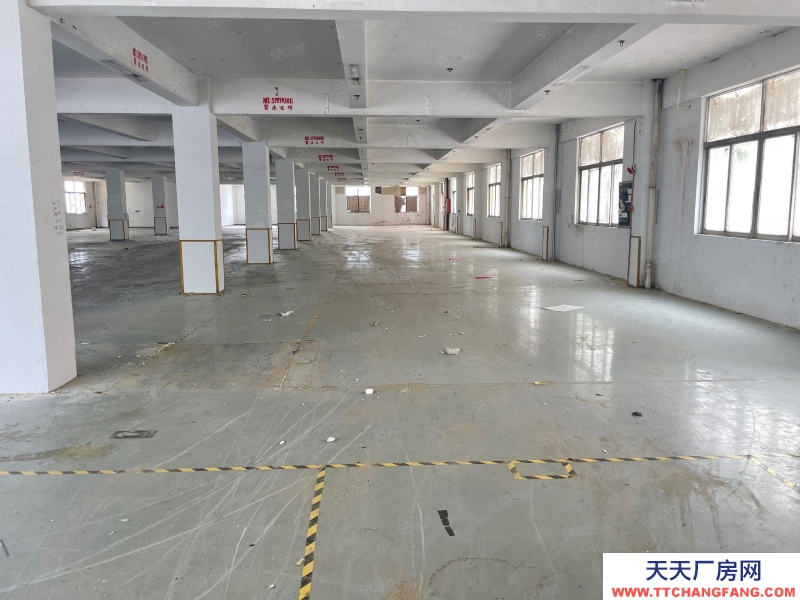 (出售)广州 南沙区独门独院靚盘出售