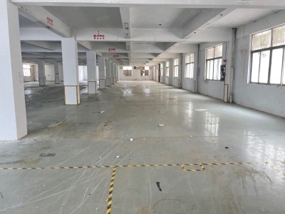 (出售)广州 南沙区独门独院靚盘出售图4