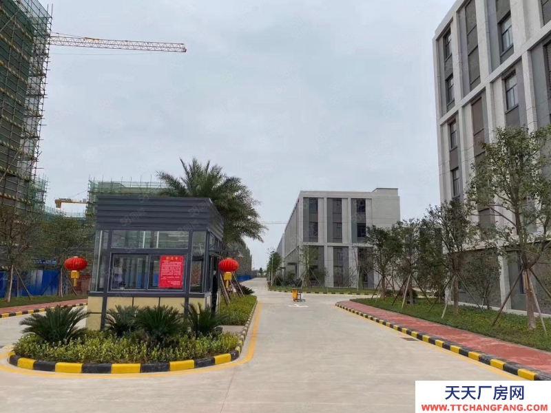 (出售) 广州南沙地铁旁首付两成红本800到20000方独栋分层厂房出售！