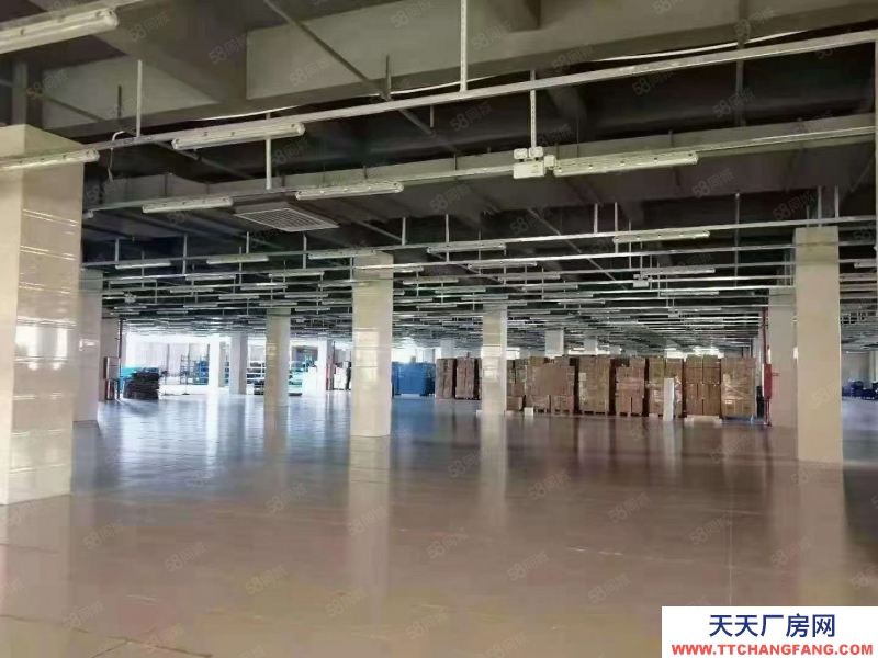 (出售) 广州南沙区中心位置占地5.6亩独院出售 近临地铁套配完善