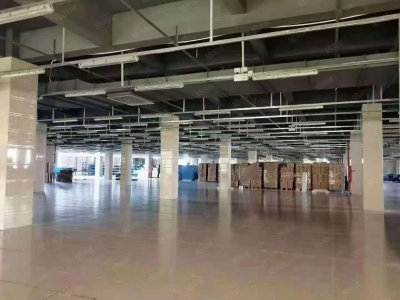 (出售) 广州南沙区中心位置占地5.6亩独院出售 近临地铁套配完善图1