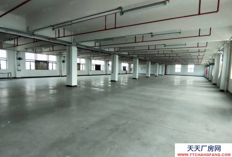 (出售) 广州南沙全新装修独门独院3500方标准厂房出售，价格便宜证件齐全