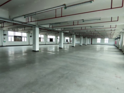 (出售) 广州南沙全新装修独门独院3500方标准厂房出售，价格便宜证件齐全图2
