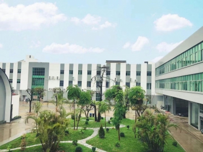 (出售) 广州南沙全新装修独门独院3500方标准厂房出售，价格便宜证件齐全图3