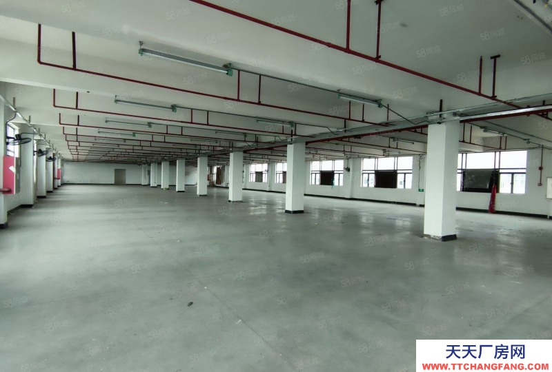 (出售) 广州南沙全新装修独门独院3500方标准厂房出售，价格便宜证件齐全