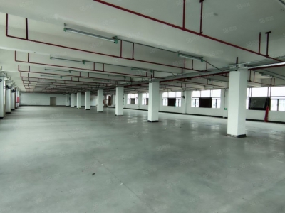 (出售) 广州南沙全新装修独门独院3500方标准厂房出售，价格便宜证件齐全图4