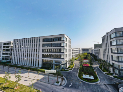 (出售) 南沙东涌厂房 800方起 全新 带车位饭堂宿舍图1