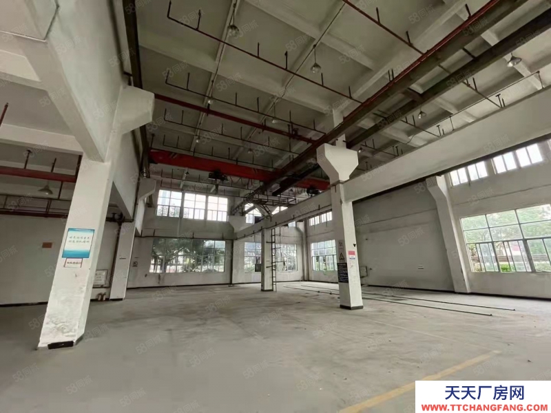 (出租) 广州南沙东涌高端科创园区新装修厂房办公室仓库300起租带环评