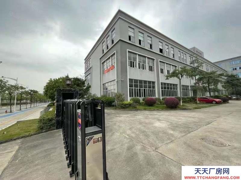 (出租) 广州南沙东涌高端科创园区新装修厂房办公室仓库300起租带环评