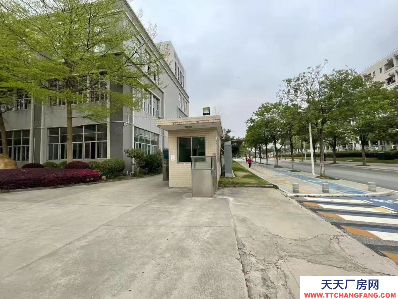 (出租) 广州南沙东涌高端科创园区新装修厂房办公室仓库300起租带环评