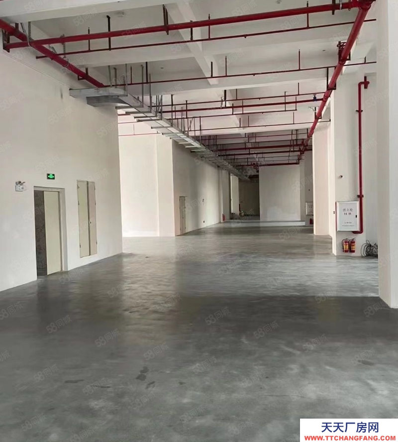 (出租) 广州南沙45000方全新高质量多功能园区厂房，精装修，可分租
