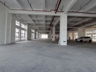 (出租) 广州南沙一手房东全新厂房出租，证件齐全，空地面积大近国道大小分租图2