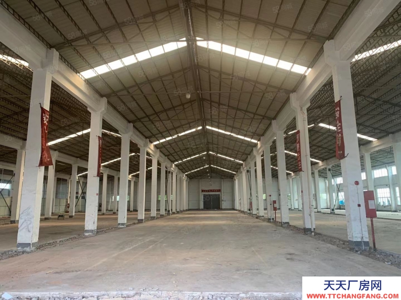 (出租) 广州南沙揽核镇近高速新出高台仓库7000方，超大空地，滴水9米