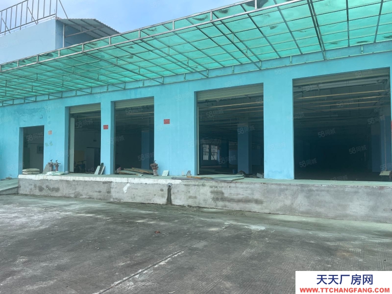 (出租)广州南沙 单一层高台仓库，3000平方，空地大，靠大路边，有消防证