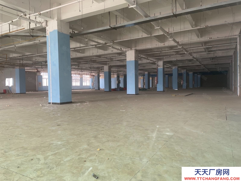 (出租)广州南沙 单一层高台仓库，3000平方，空地大，靠大路边，有消防证