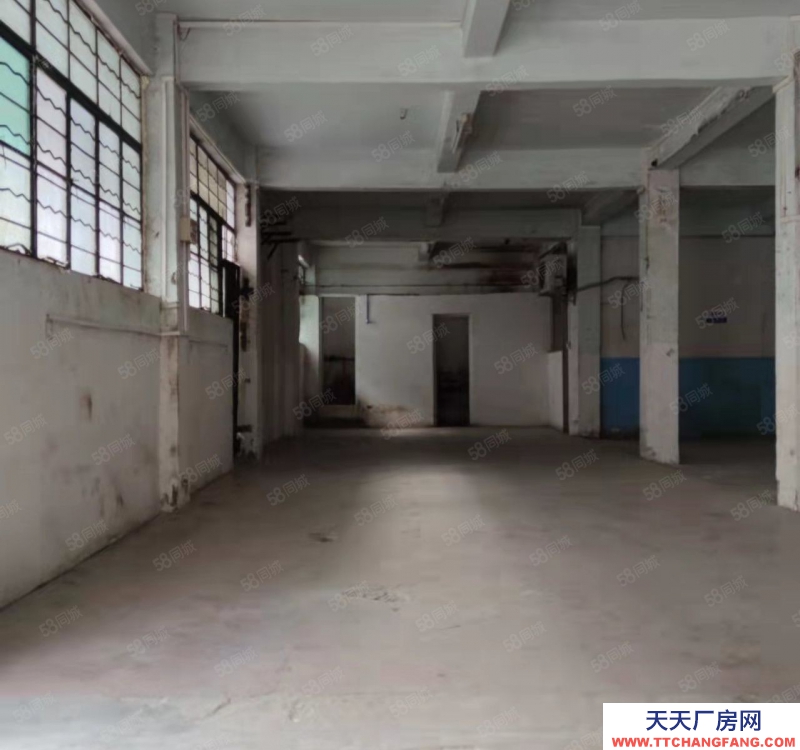 (出租)广州天河 长湴一楼220方 办公仓库淘宝直播