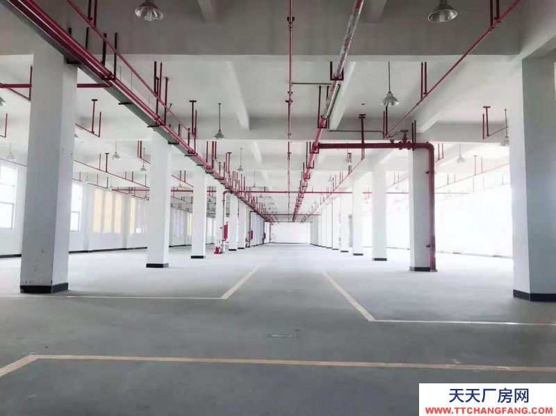 (出售) 广州天河黄埔知识城，层高8米，二类消防，适合化妆品，注塑，等