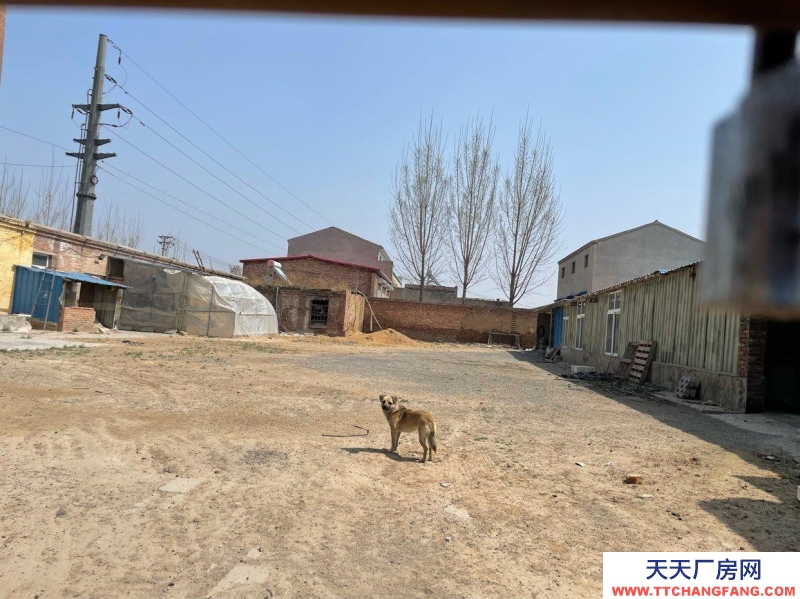 石家庄 辛集  新垒头工业区厂房带院带场地出租