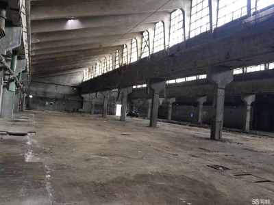 石家庄 辛集辛集城区厂库房门店图2