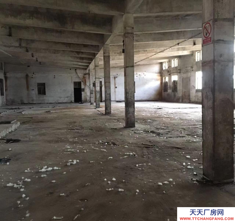 石家庄 辛集辛集城区厂库房门店