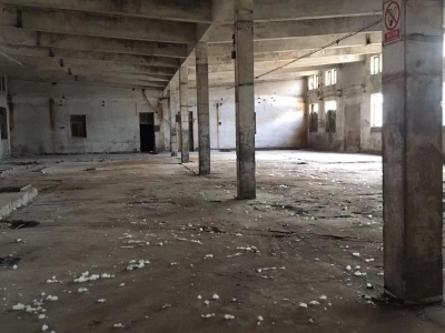 石家庄 辛集辛集城区厂库房门店图4