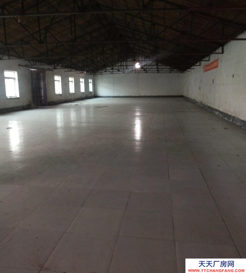 石家庄 辛集 独门独院，水电齐全，环境不错。