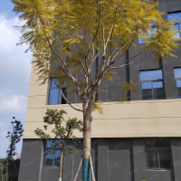 重庆巴南大江厂工业园标准化厂房50年独立产权