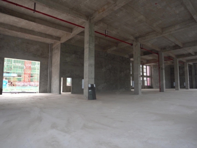 重庆长寿独栋厂房出售，厂办一体，实用性强图5