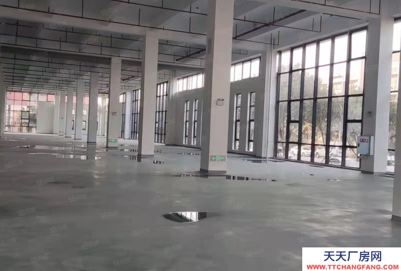 出租 重庆 长寿 独栋厂房 行业不限