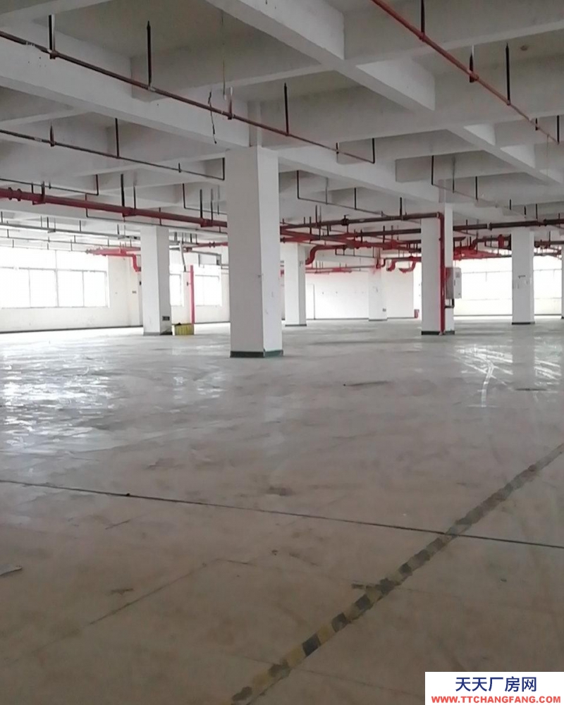 重庆长寿高新区家具工业园，形象好，可做水性喷漆可办环评