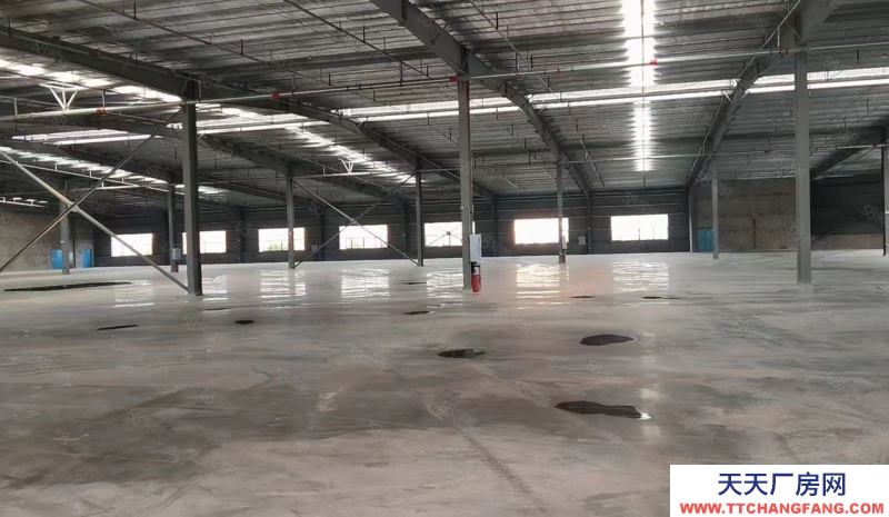 重庆长寿新市工业园厂房出租（2.6万和1.6万可分租）