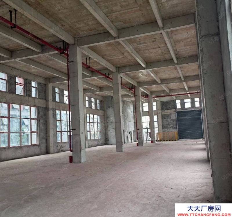 重庆壁山比亚迪背后中南高科独栋厂房出租(5400平米