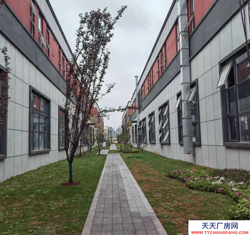 重庆壁山比亚迪背后中南高科独栋厂房出租(5400平米