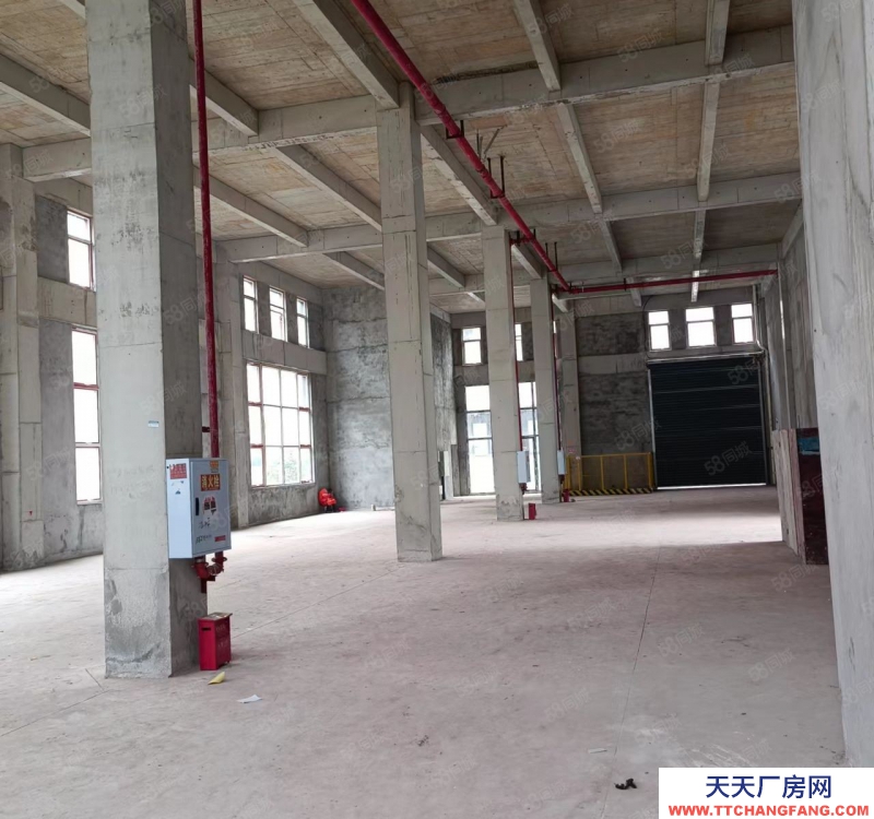 重庆壁山比亚迪背后中南高科独栋厂房出租(5400平米